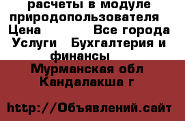 расчеты в модуле природопользователя › Цена ­ 3 000 - Все города Услуги » Бухгалтерия и финансы   . Мурманская обл.,Кандалакша г.